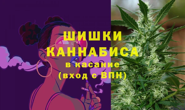 стафф Покачи
