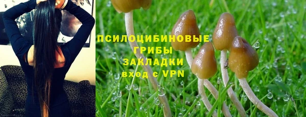 сатива Абдулино